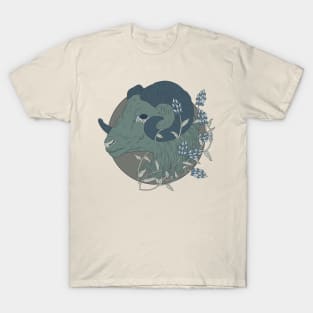 Belenus, God of Sheep T-Shirt